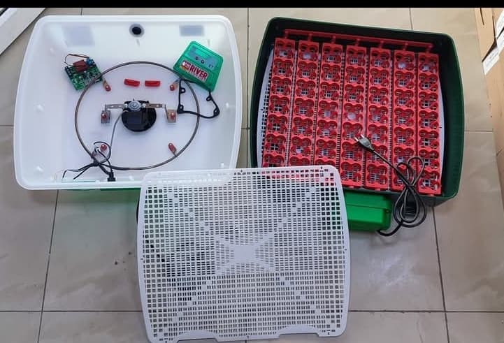 فقاسة 49بيضه دجاج